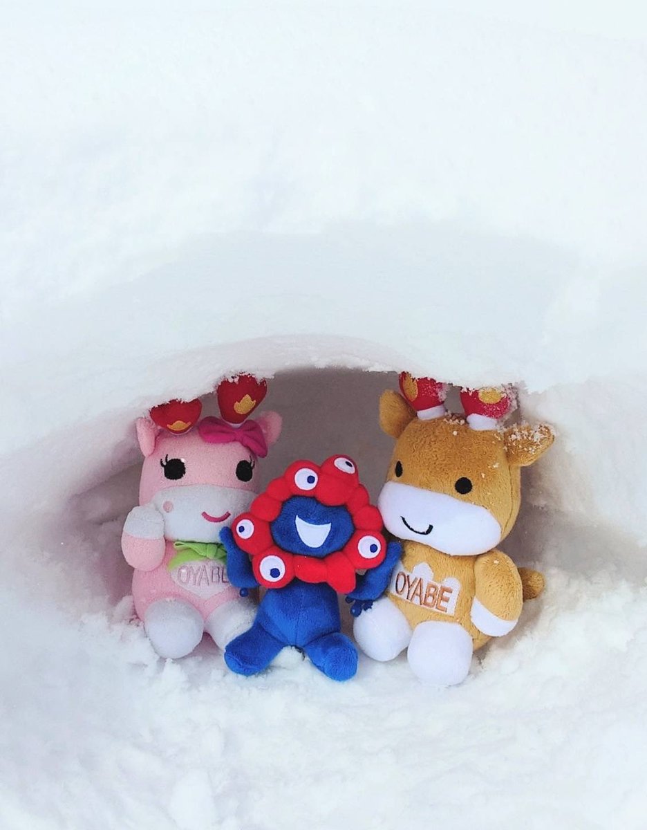富山はどんどん雪が積もってるメル〜⭐︎
みんなはお家でのんびり過ごそうね〜⭐︎
最近お迎えしたミャクミャクさんとかまくらで暖をとるメル〜⭐︎