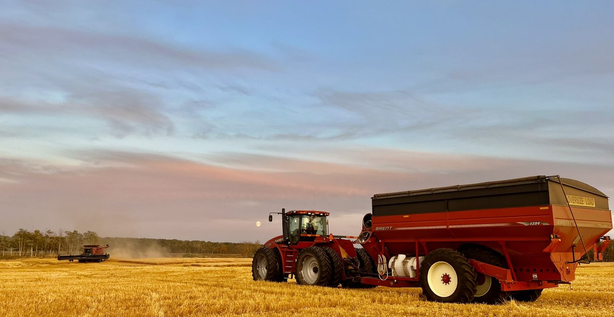 We’re currently hiring for harvest 25. Our season runs from July to October. We cut in Montana, Alberta, and Sask. Modern well kept equipment. Family owned and operated. Room and board included. Great opportunity for someone young to get out and see the country

RT’s appreciated!