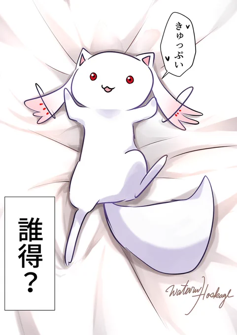 誰得?抱き枕風QB 