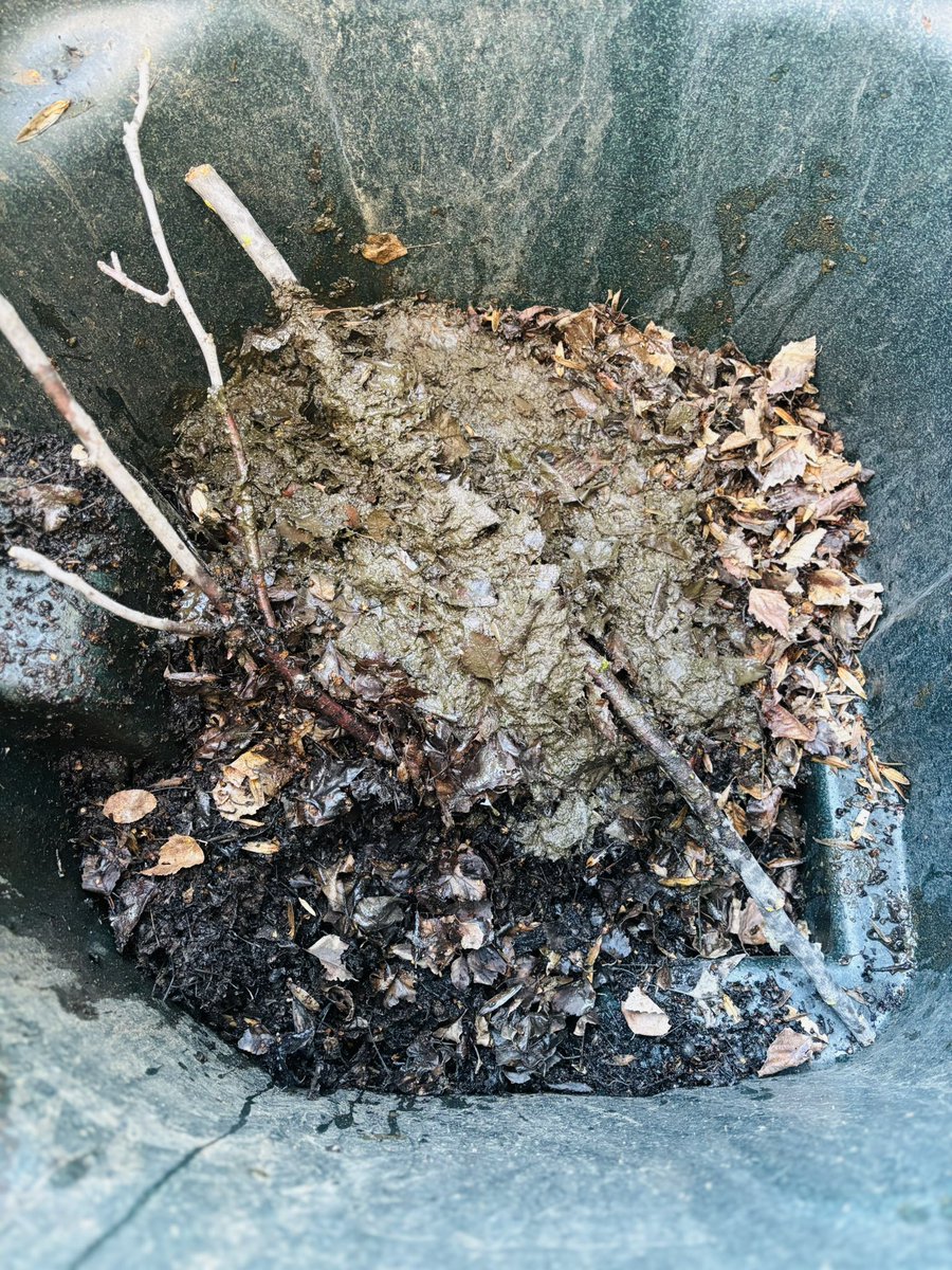 CleanChoiceCo's tweet photo. Out of sight, out of mindโuntil itโs too late! This is just some of the debris we cleared from a homeโs gutters today. Regular gutter cleaning prevents water damage and costly repairs. Donโt wait for a problemโbook your cleaning now! #CleanChoice #GutterCleaning #Sacramento https://t.co/Eu5Elr65pr