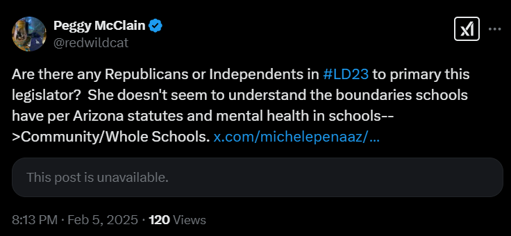 redwildcat's tweet photo. Why did @michelepenaaz delete her post in support of mental health in schools? Everyone in #LD23, keep an eye on her. She says she's a Republican, but needs to be primaried. https://t.co/KfaVO1eOjv