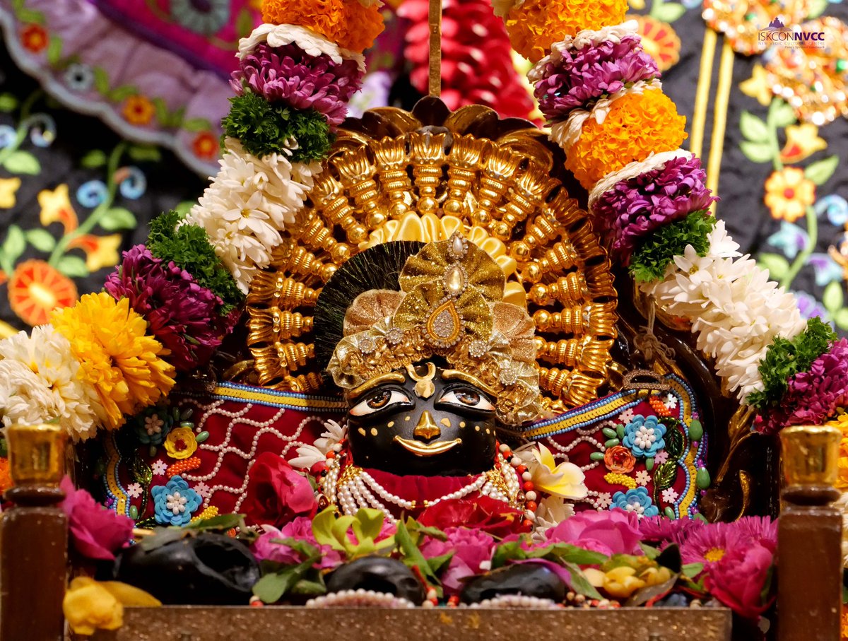 ISKCONPune's tweet photo. 🙏🏽Today's Darshan 📿 🗓06-02-2025🙏
🌷Sri Sri Jagannath Baldev Subhadra🌷
🚩@ISKCONNVCCPune🚩
.
#ISKCONNVCC #ISKCONPune #ISKCONNVCCPune #ISKCON
#kumbhmela2025 #kumbhmela #Prayagraj
#PrayagrajMahakumbh2025 #6thfebruary #6thfebruary2025
#Wednesday #Harinaamsankirtan #Radheshyamdas https://t.co/6PIEg27IrC