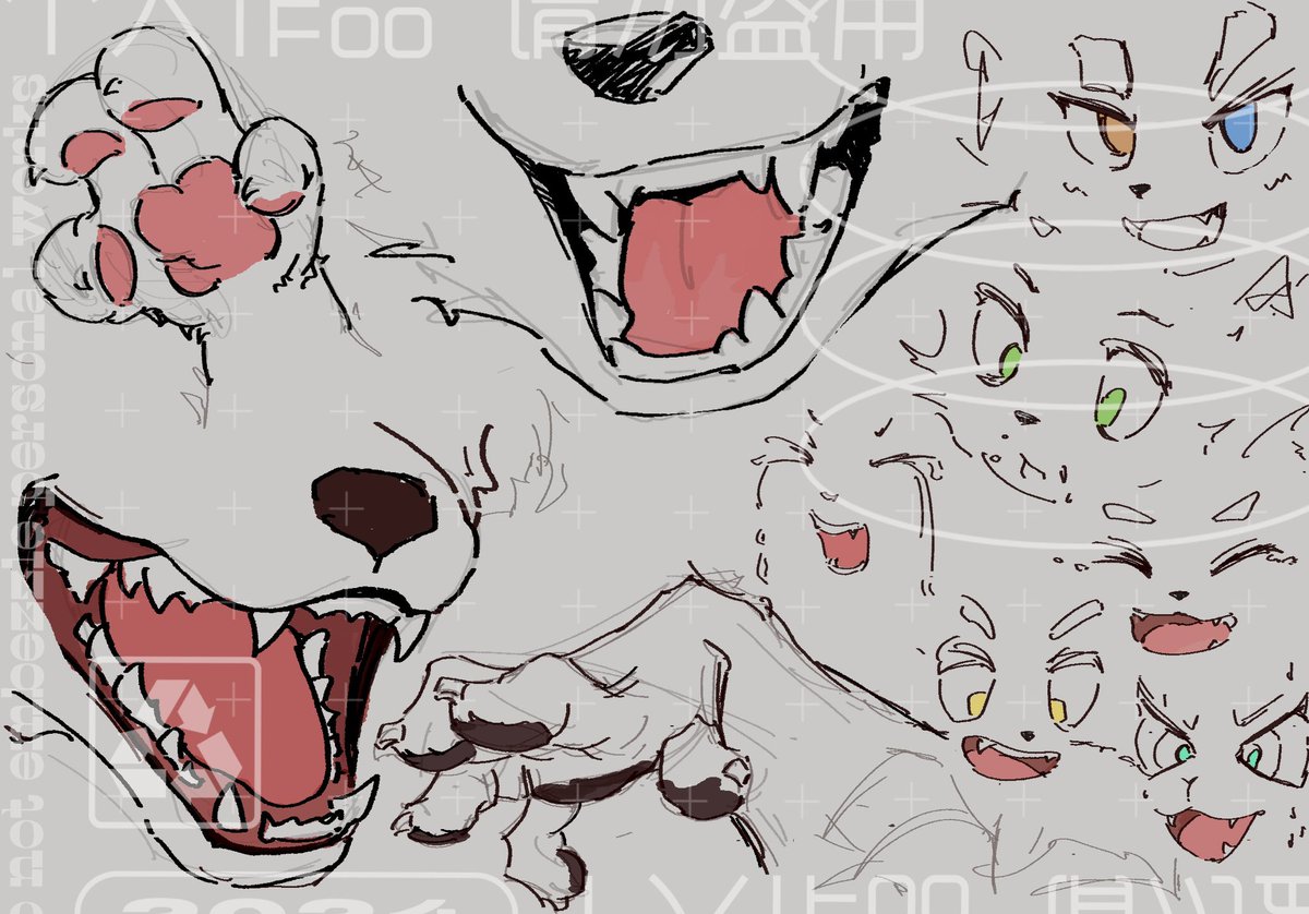 shayu🦈 tweet media