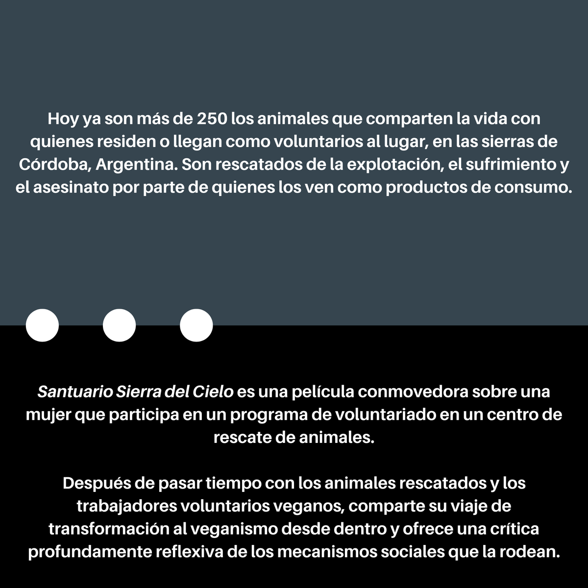 ¡Continúa el Filmmaker Spotlight! Hoy presentamos a la ganadora de la beca Luciana Daniela Gagliardo y a Nikashnók del Santuario Sierra del Cielo.💡🎬<a href="/ConSol_ONG/">Conciencia Solidaria ONG</a> #films #grants #vegan