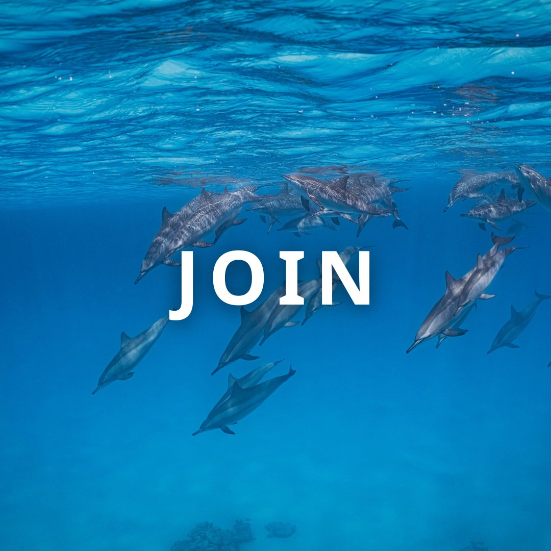 PADI's tweet image. Take the plunge into adventure and discovery!

Not only will you gain unforgettable experiences, but you&apos;ll also learn how to protect and preserve our oceans for future generations.

Start your journey today!
Click here to learn more: padi.co/hzfgxt23

#PADI #LearnToDive