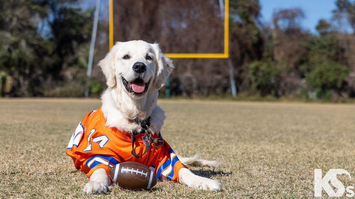 Denver Broncos tweet media