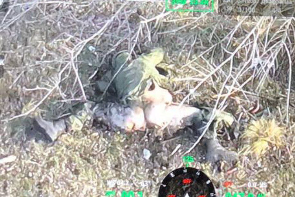 PStyle0ne1's tweet photo. What's that? https://t.co/34Fq6c9EQJ