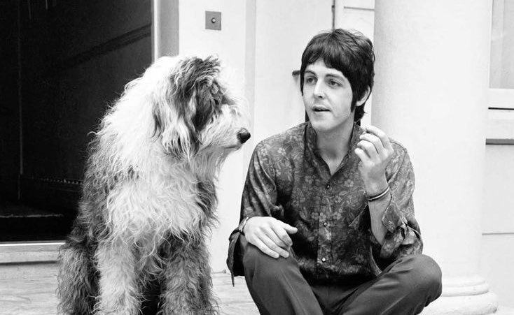 farrckh's tweet photo. the real fifth beatle https://t.co/eBYB2mu80a