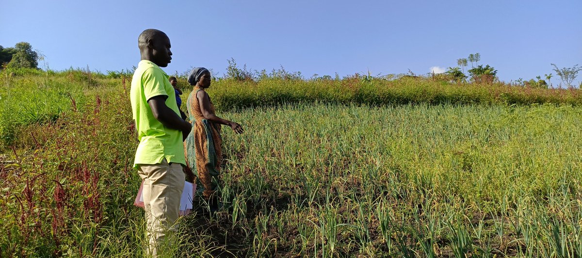 RWEBITABA ZARDI tweet media