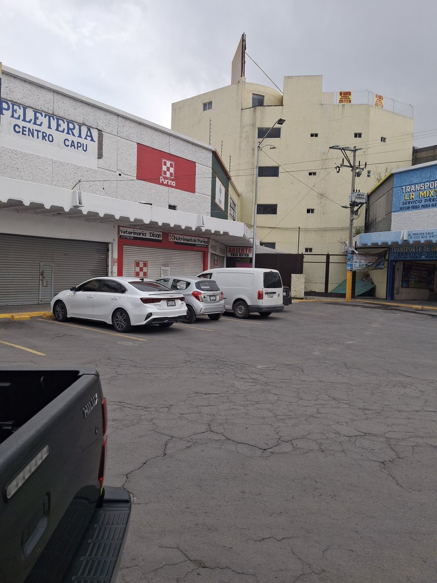 coyotecojo tweet media