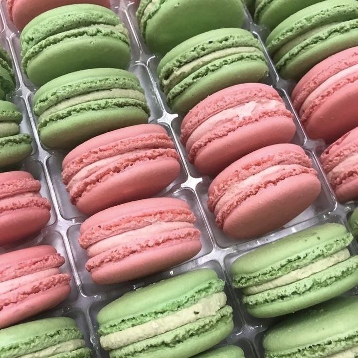 🍀⁎⋅⊱   🪷 ̣۫ ˿ Prazer, #studytwt #studytwtbr. Me chamo Lena! 

    07' line, 3 e.m
    futura oficial de náutica
    efomm e concursos militares
    pt-br

𖹭: história, mpb, músicas, crochê, roblox e pilates
♡ / ↻ = moots!