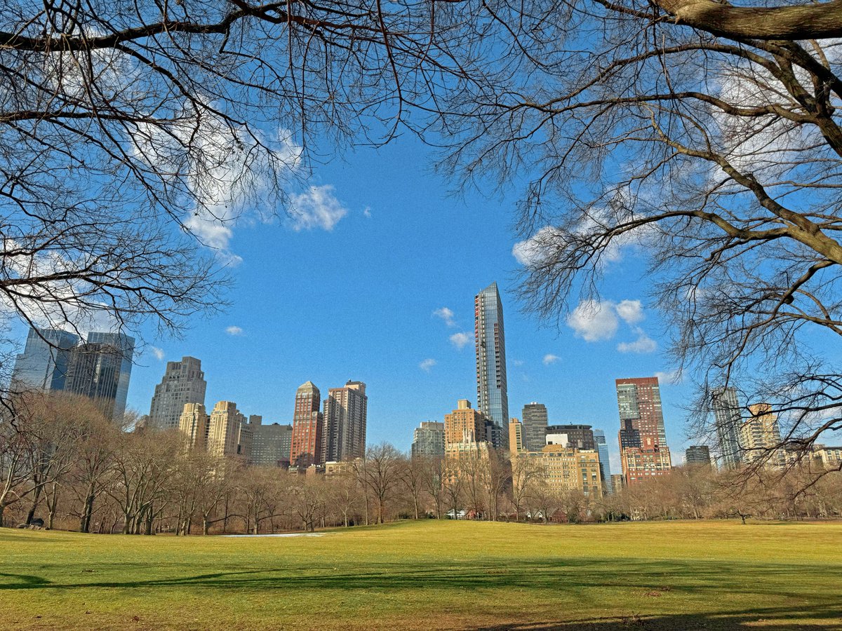 X-ray 🚀🚀🔫 🫧🫧🫧 tweet media