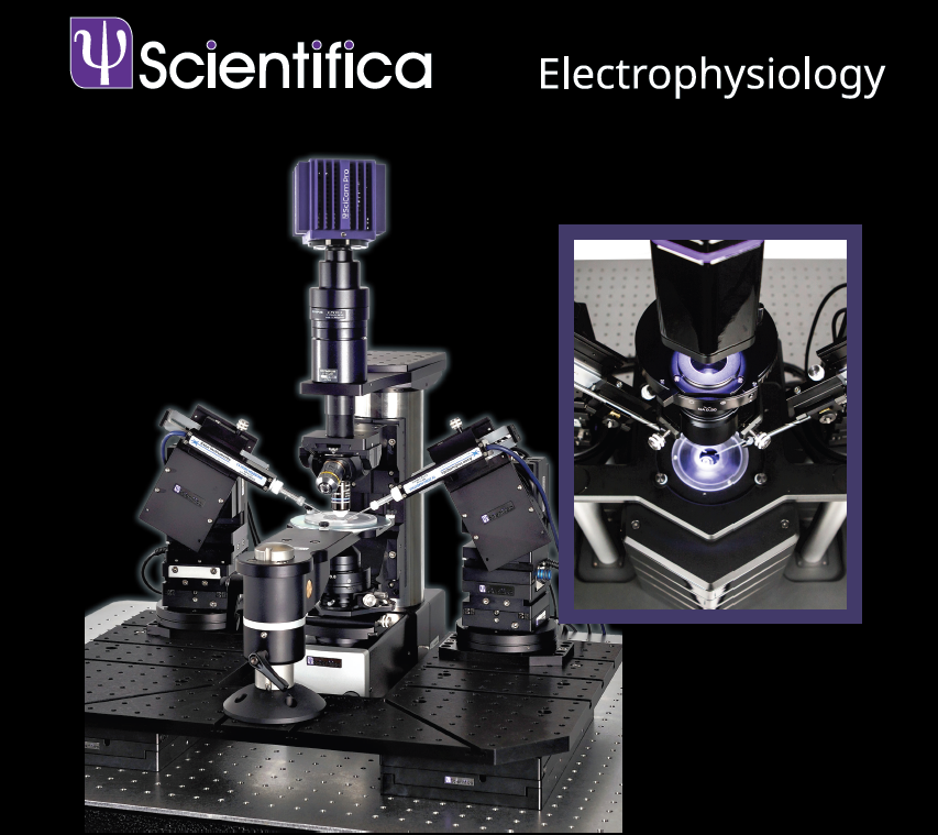 Scitech Imaging & Optical Solutions (@scitechptyltd) on Twitter photo Attending <a href="/OptogeneticsAus/">Optogenetics Australia</a> 6-7 Feb?
Visit Scitech's booth to learn about <a href="/Scientifica_Int/">Scientifica</a> #optogenetics solutions for your laboratory
🟣SlicescopePro 3000 - For #patchclamp #ephys optogenetics, #multiphoton
🟣Patch Pro 6000 - for in vivo, in vitro, #2photon & #confocal imaging Attending <a href="/OptogeneticsAus/">Optogenetics Australia</a> 6-7 Feb?
Visit Scitech's booth to learn about <a href="/Scientifica_Int/">Scientifica</a> #optogenetics solutions for your laboratory
🟣SlicescopePro 3000 - For #patchclamp #ephys optogenetics, #multiphoton
🟣Patch Pro 6000 - for in vivo, in vitro, #2photon & #confocal imaging