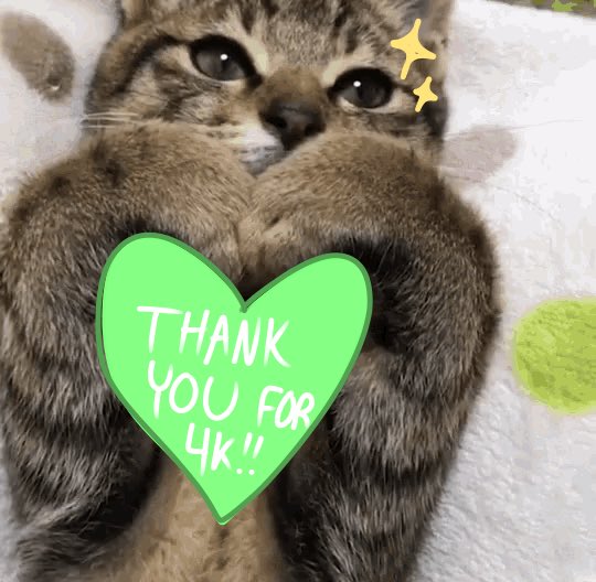 Tetrifur's tweet photo. I JUST CAME HOME TO 4K AAA

Again, thank you. Thank you all from the bottom of my heart — I never knew there would be so many people out there cheering me on, and I am grateful every day for you guys

Here’s to a great year for all of us! 💚🤎 https://t.co/sQzJsIvuC1