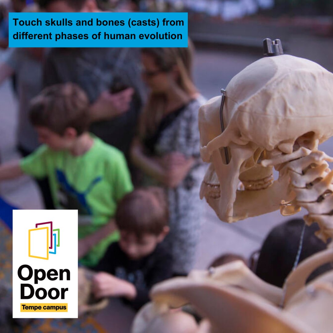 HumanOriginsASU's tweet image. ✨Join us for Open Door 2025! ✨ A 𝗙𝗥𝗘𝗘 event for the entire family 📆 𝗪𝗵𝗲𝗻: Tempe campus: Saturday, Feb. 22, 1–5 p.m. 𝗪𝗵𝗲𝗿𝗲: Walton Center for Planetary Health (WCPH) Floors 1 and 2 🅿️ Free at the Tyler Street Parking Structure opendoor.asu.edu
