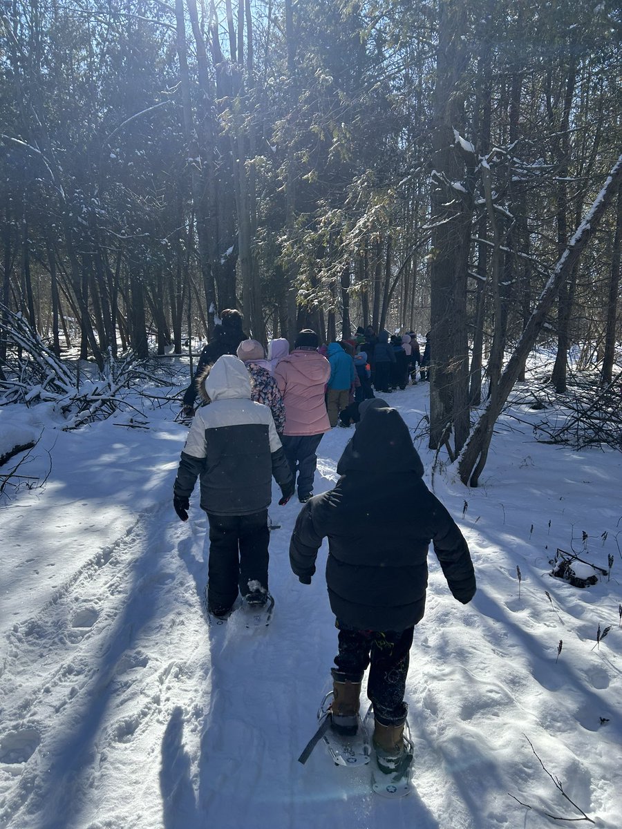 MsSTeacher1's tweet image. An awesome day at Baxter Conservation Area exploring different animal habitats, tracks, and habits. We braved the cold and even got to do some snowshoeing! ❄️☀️@SELCook12 @StElizabethOCSB