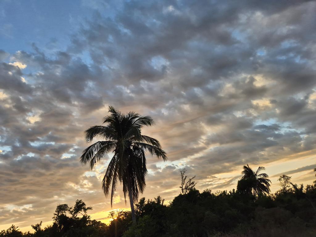 Nada más hermoso que los atardeceres de #Guerrero 🌴☀️