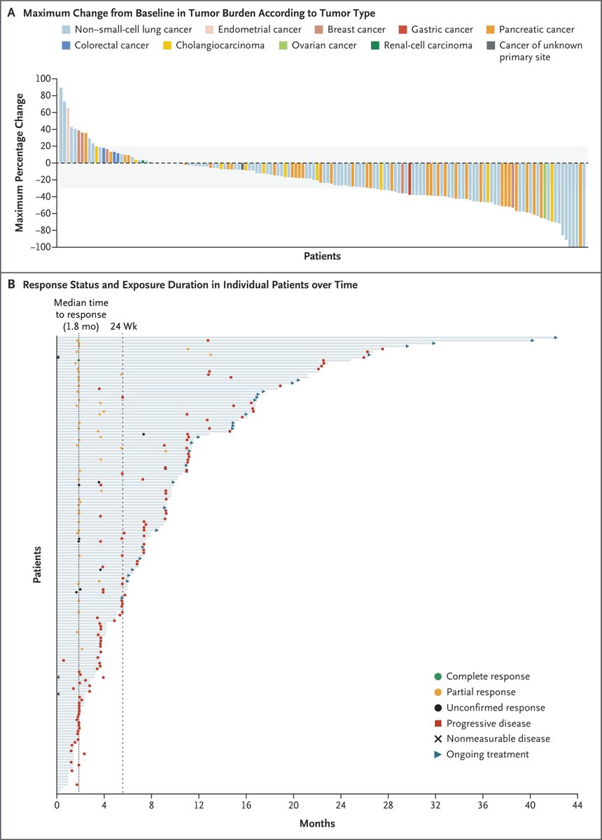 Arndt Vogel (@arndtvogel) on Twitter photo Efficacy of Zenocutuzumab in NRG1 Fusion–Positive Cancer
<a href="/NEJM/">NEJM</a>
doi.org/10.1056/NEJMoa…
🔎Ph2-2, 204 pts, 12 tumor types
👉 bispecific antibody against HER2 & HER3,
👉ORR 30%, DoR 11.1 mo, mPFS 6.8 mo
👉ORR 40% in #PDAC, 20% in BTC
🧐Effective..
<a href="/myESMO/">ESMO - Eur. Oncology</a> <a href="/EASLedu/">EASL Education</a> <a href="/ILCAnews/">ILCA</a> Efficacy of Zenocutuzumab in NRG1 Fusion–Positive Cancer
<a href="/NEJM/">NEJM</a>
doi.org/10.1056/NEJMoa…
🔎Ph2-2, 204 pts, 12 tumor types
👉 bispecific antibody against HER2 & HER3,
👉ORR 30%, DoR 11.1 mo, mPFS 6.8 mo
👉ORR 40% in #PDAC, 20% in BTC
🧐Effective..
<a href="/myESMO/">ESMO - Eur. Oncology</a> <a href="/EASLedu/">EASL Education</a> <a href="/ILCAnews/">ILCA</a>
