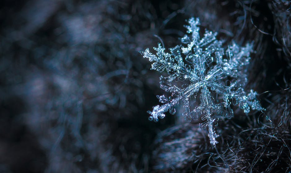 The district will be closed tomorrow, Thursday, February 6. It is a code 2 for employees. The Board of Education meeting scheduled for Thursday, February 6 is cancelled. The meeting has been rescheduled for Wednesday, February 12 at 6PM.
