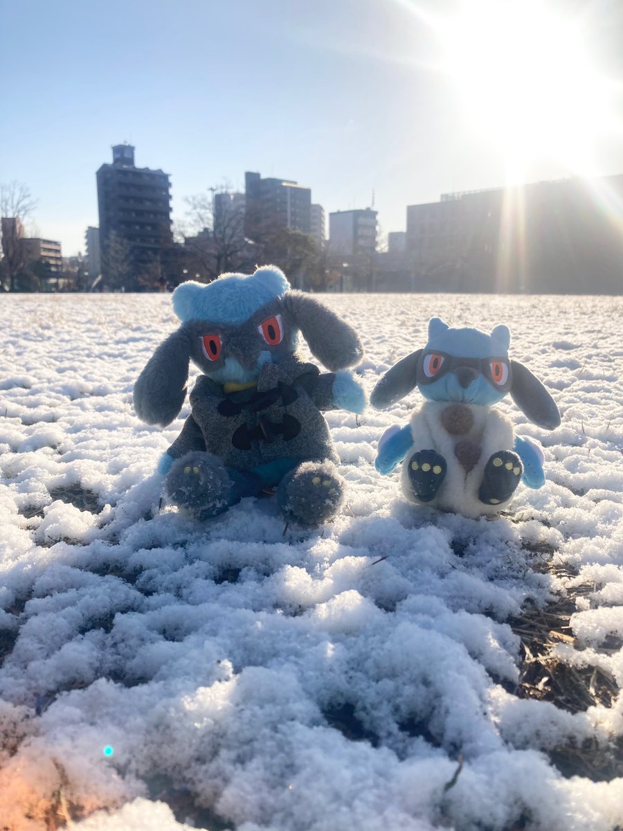 雪だ〜⛄️
#リオル