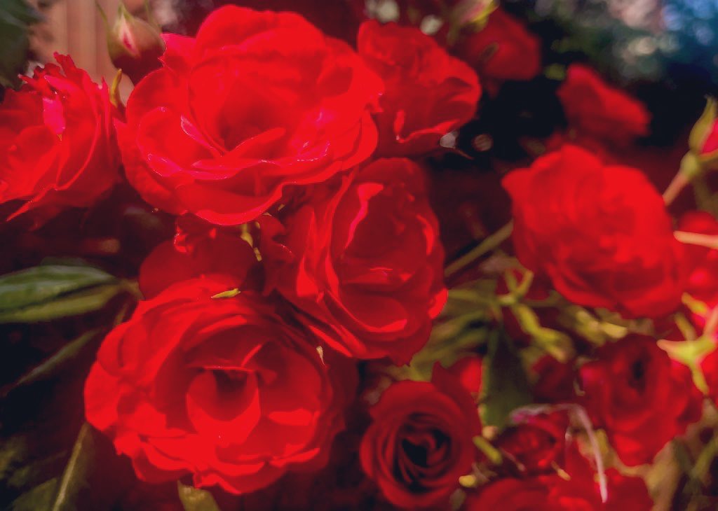 Thundercatt99's tweet image. cannot ever imagine a time
could never explain
how it would be possible
when he may have the words
to express to another
all she is to him 🥰
#VssRomance #prompt #Possible #poetry #WritingCommunity