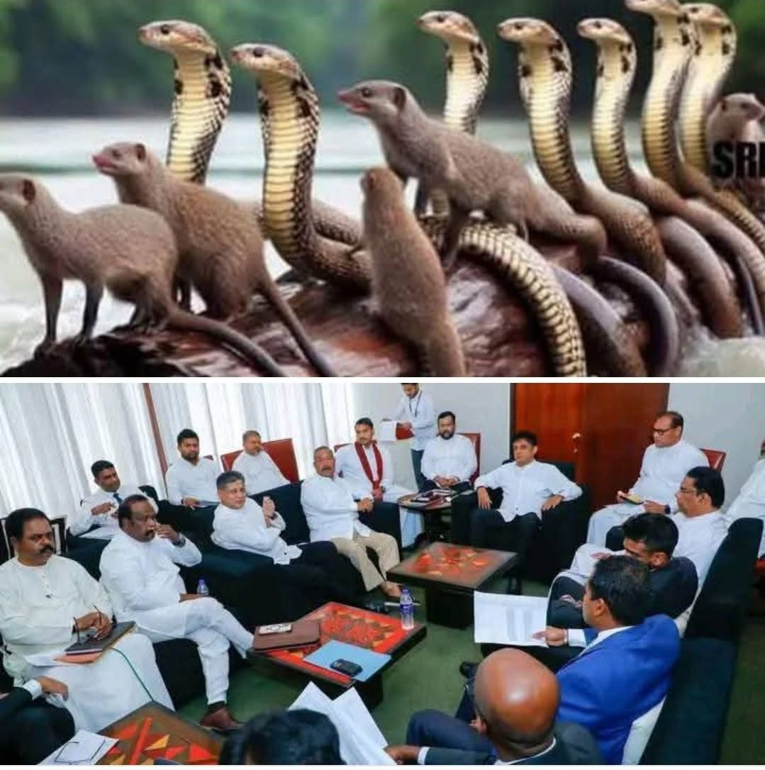 CSE JUNKIE (@csejunkie) on Twitter photo බය වෙච්ච නයි සහ මුගටි. 😂😂😂
#SJB
<a href="/RajapaksaNamal/">Namal Rajapaksa</a>
#CrooksandCons
<a href="/RW_SRILANKA/">Ranil Wickremesinghe</a>
<a href="/sajithpremadasa/">Sajith Premadasa</a> බය වෙච්ච නයි සහ මුගටි. 😂😂😂
#SJB
<a href="/RajapaksaNamal/">Namal Rajapaksa</a>
#CrooksandCons
<a href="/RW_SRILANKA/">Ranil Wickremesinghe</a>
<a href="/sajithpremadasa/">Sajith Premadasa</a>