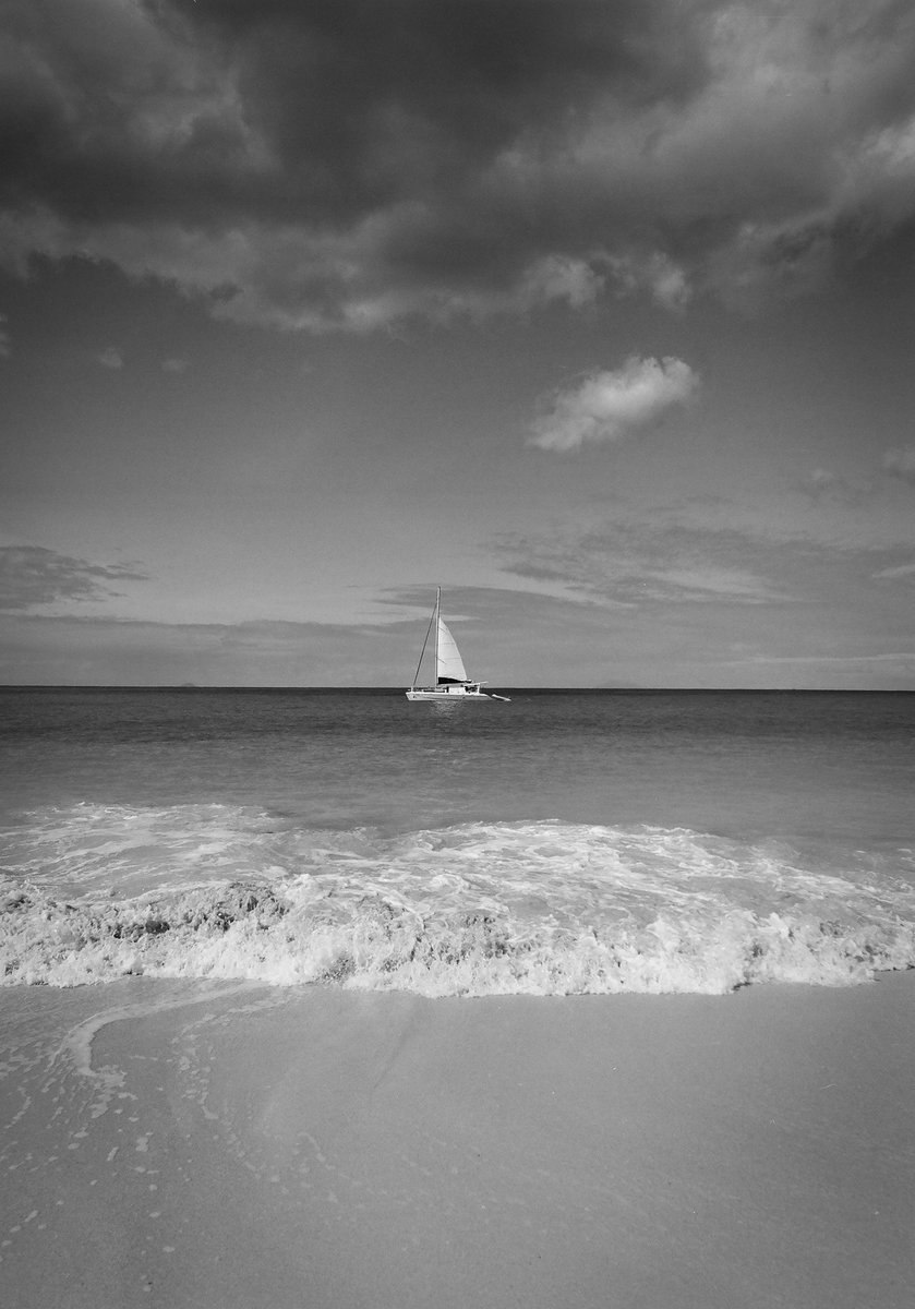 Probs one of my new favorite shots…