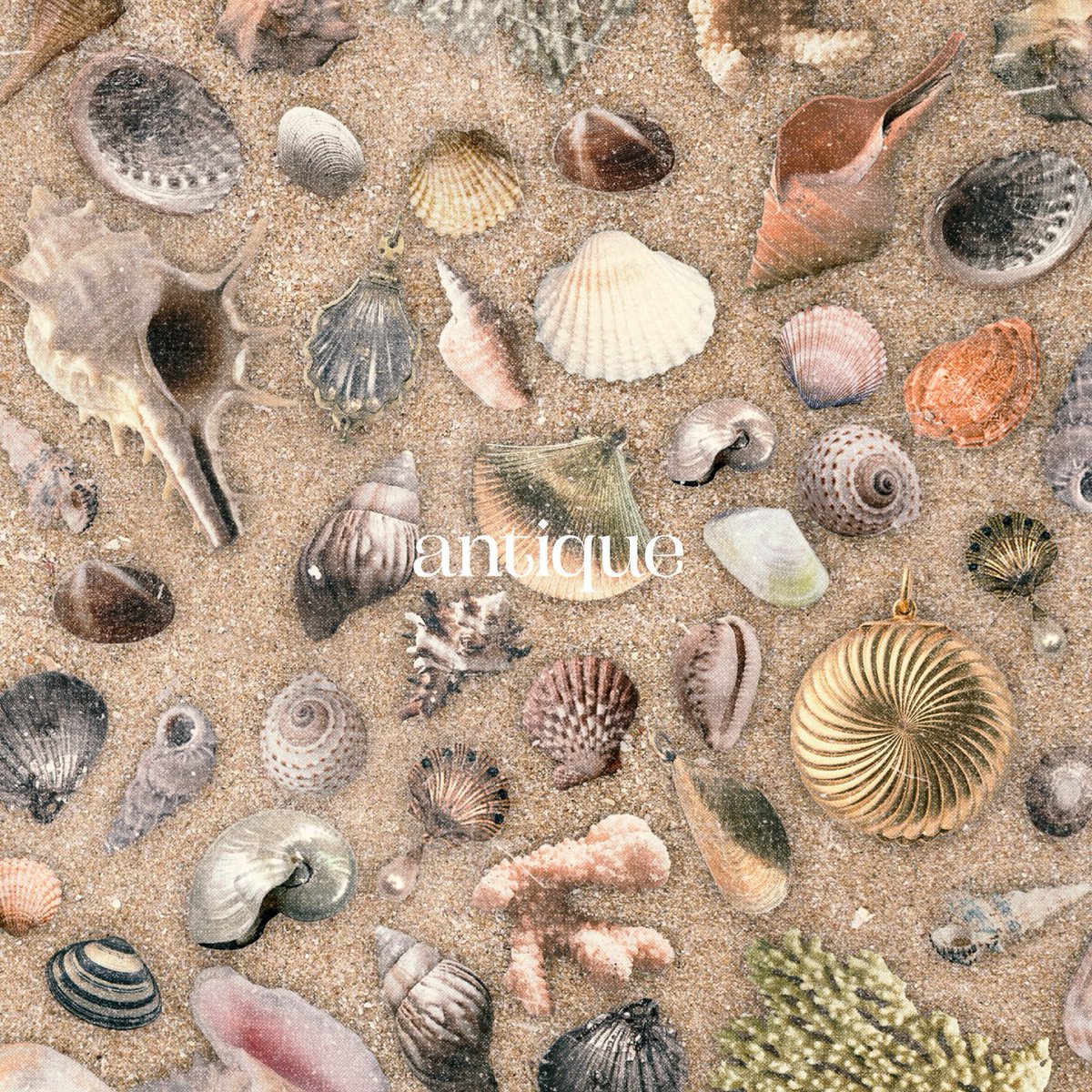 ━━━━━━━━━━━━ 2025.4.23(wed) Release. 9th mini album