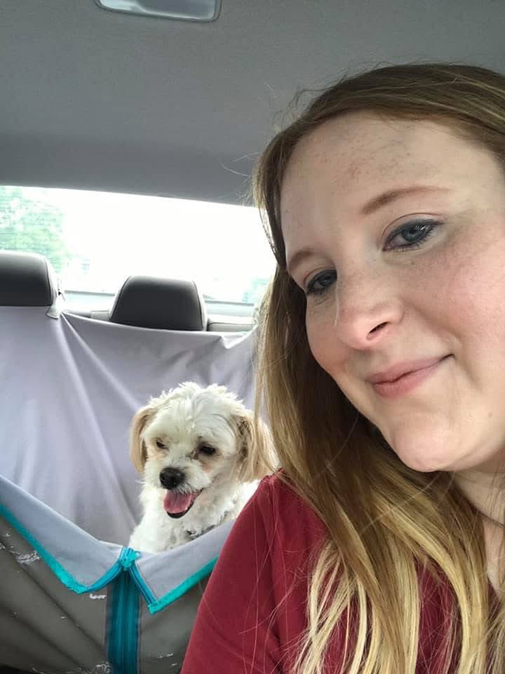 Stephanie tweet media