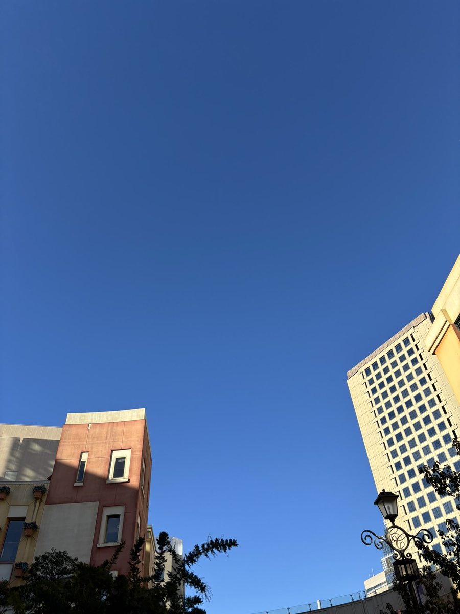 おはようございます☺️

今日の川崎市の天気は、ほぼ晴れ☀️

今日も風が冷たく、寒い一日になりそうです🥶

寒さ対策をしっかりして、今日も一日頑張っていきましょう😃

#企業公式が毎朝地元の天気を言い合う 
#企業公式相互フォロー
#企業公式冬のフォロー祭り
#就労移行 #就労継続支援B型 #川崎