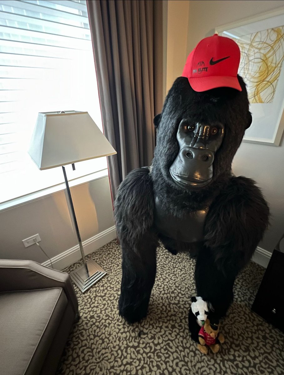 PAELITE7v7's tweet image. Email sent about upcoming practice, uniform handout and Spirit Wear handout.   1-2-3 Compete