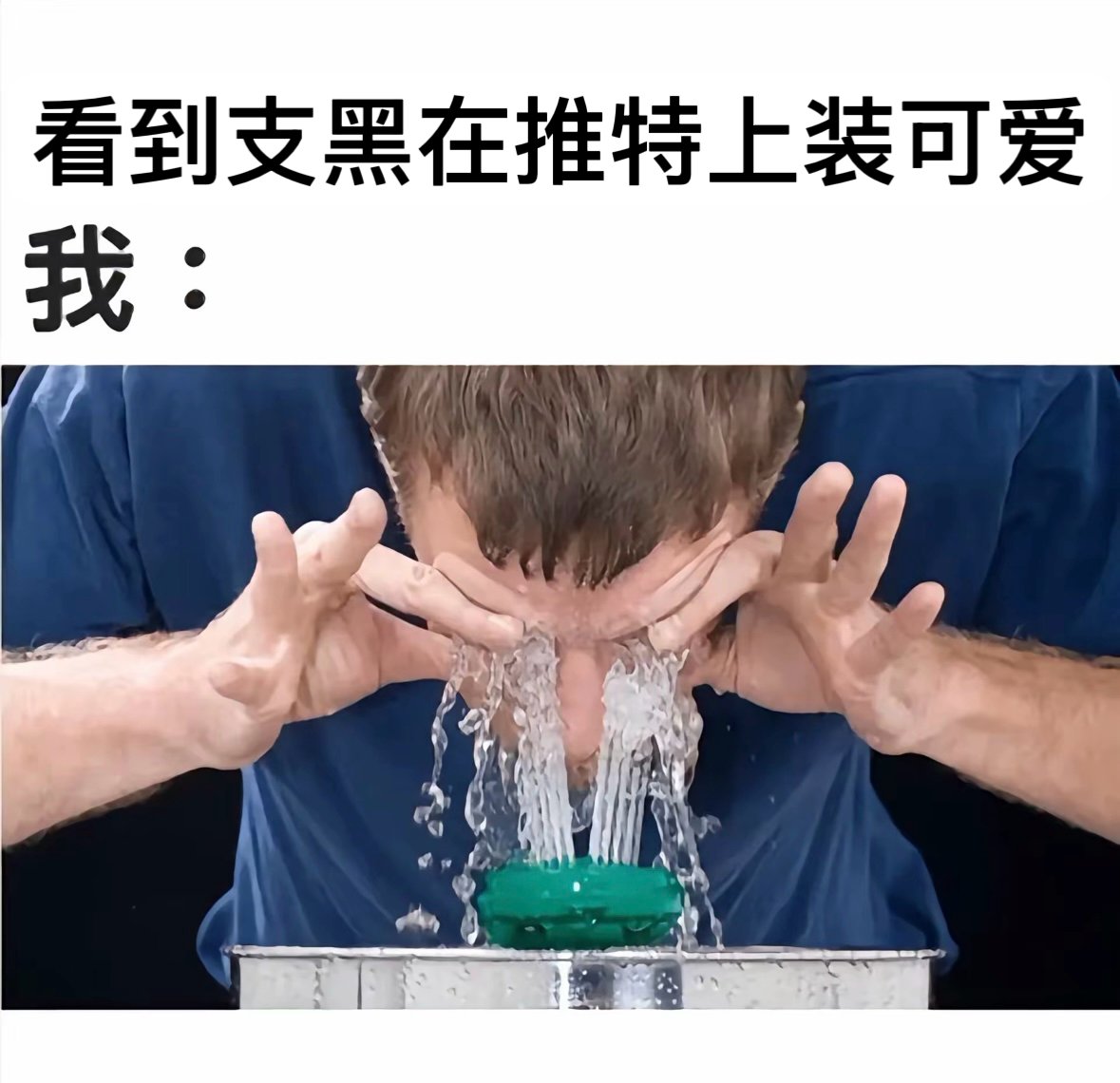 itfeelsfragrant's tweet photo. https://t.co/ZzyfKRjWbg