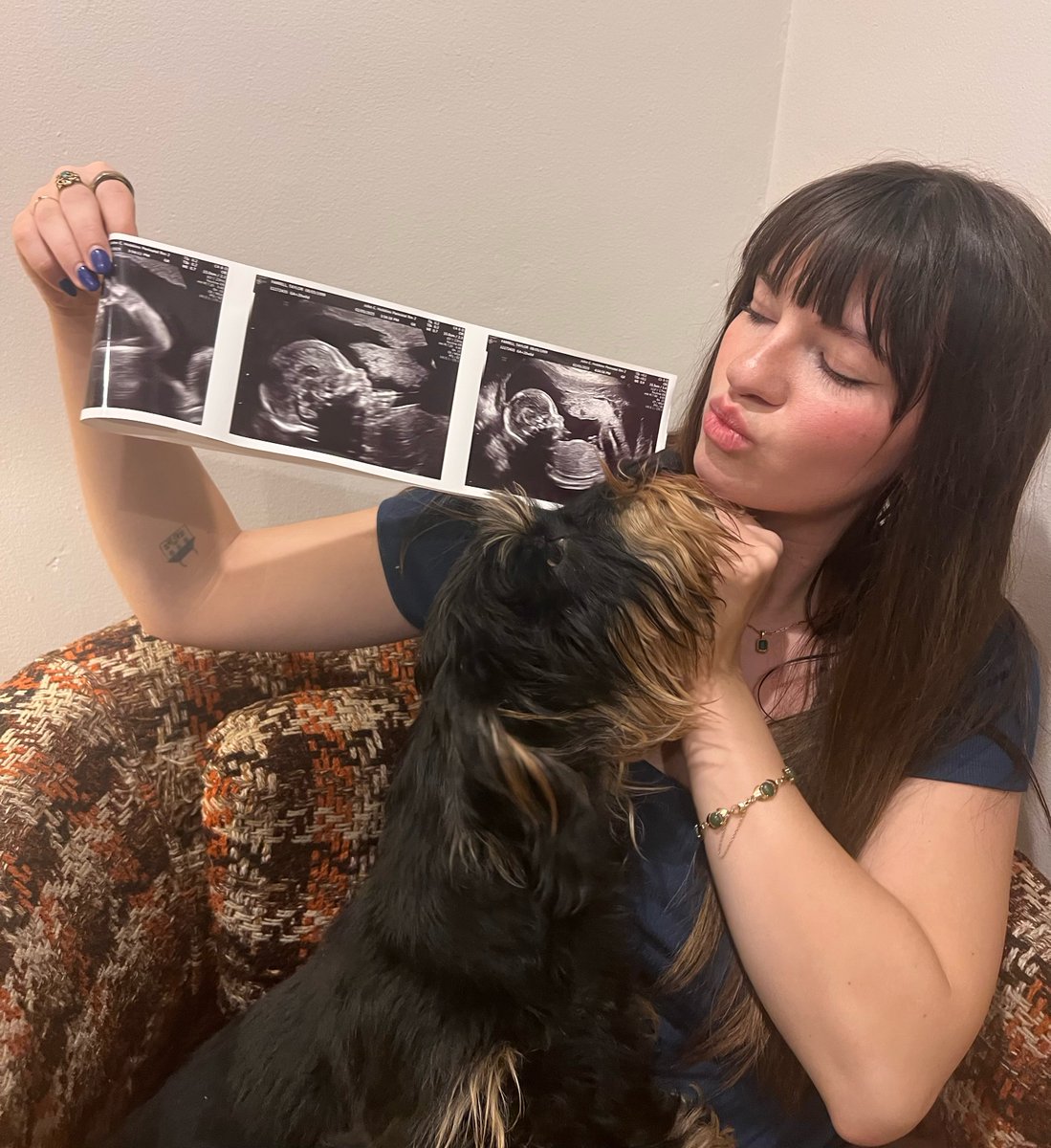 candy apple (33.3%) tweet media