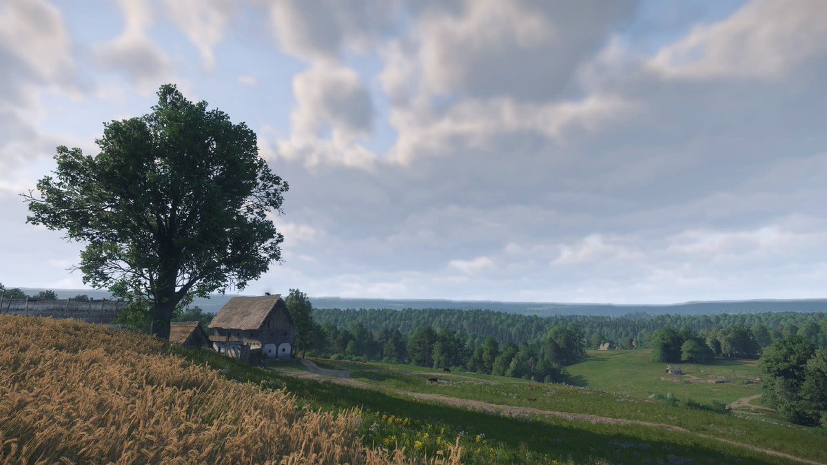 Kingdom Come: Deliverance ll
PS5 📸