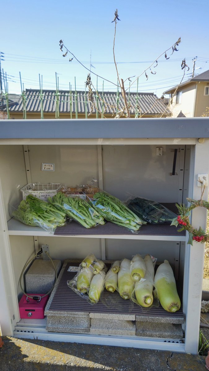 ryoko_730228's tweet photo. 今日は畑の無人販売です🥰
大根と菜花、黒キャベツを
並べました🍀

寒いけど作業を頑張ります😊 https://t.co/WhyGD8kXDx