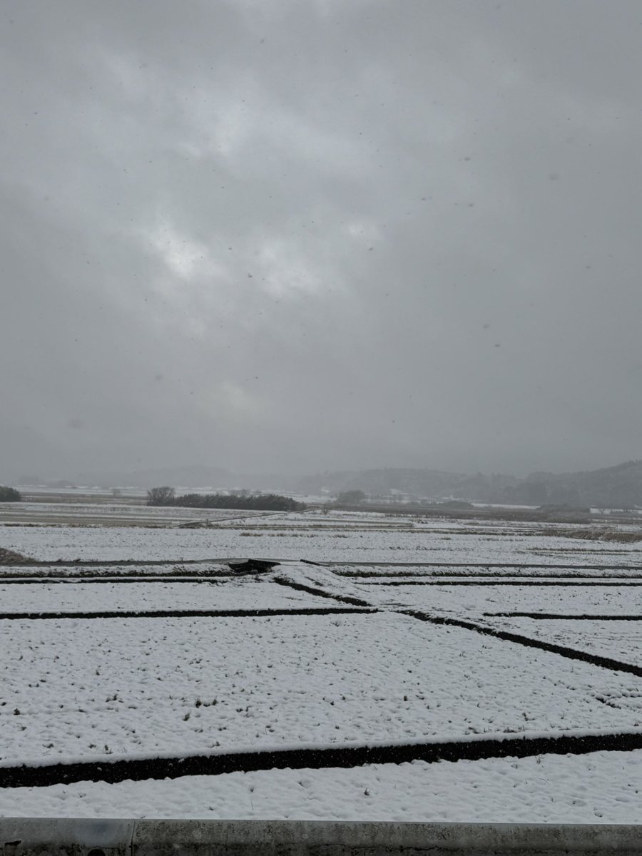 LOVE76585560's tweet photo. 昨日の鹿児島からの帰路は、なかなかビビったけど、時間差で通り抜けれた https://t.co/oz0Fz4g0tK