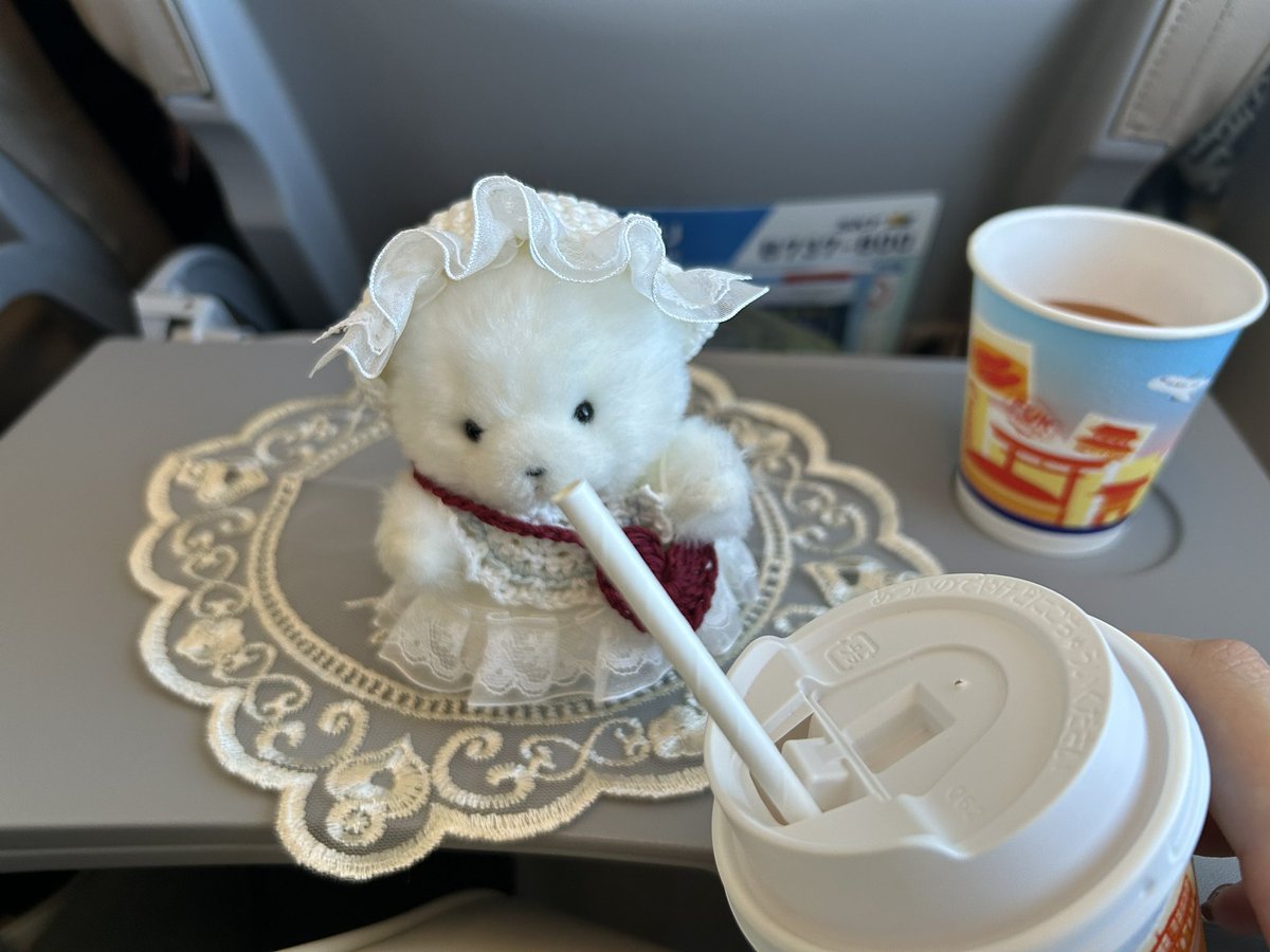 sq_31k's tweet photo. 機内サービスの時スカイマークの乗務員さんが私に何か話しかけてて、でもイヤホンつけてるから4、5回聞き取れなかったんだけど、さっちゃん指してこの子の分もリンゴジュースご用意しますか？ってわざわざストロー付きでご用意してくださった😭😭嬉しい😭ありがとうございました😭😭 #SkymarkJ #ぬい活 https://t.co/1K6yHKiMGc