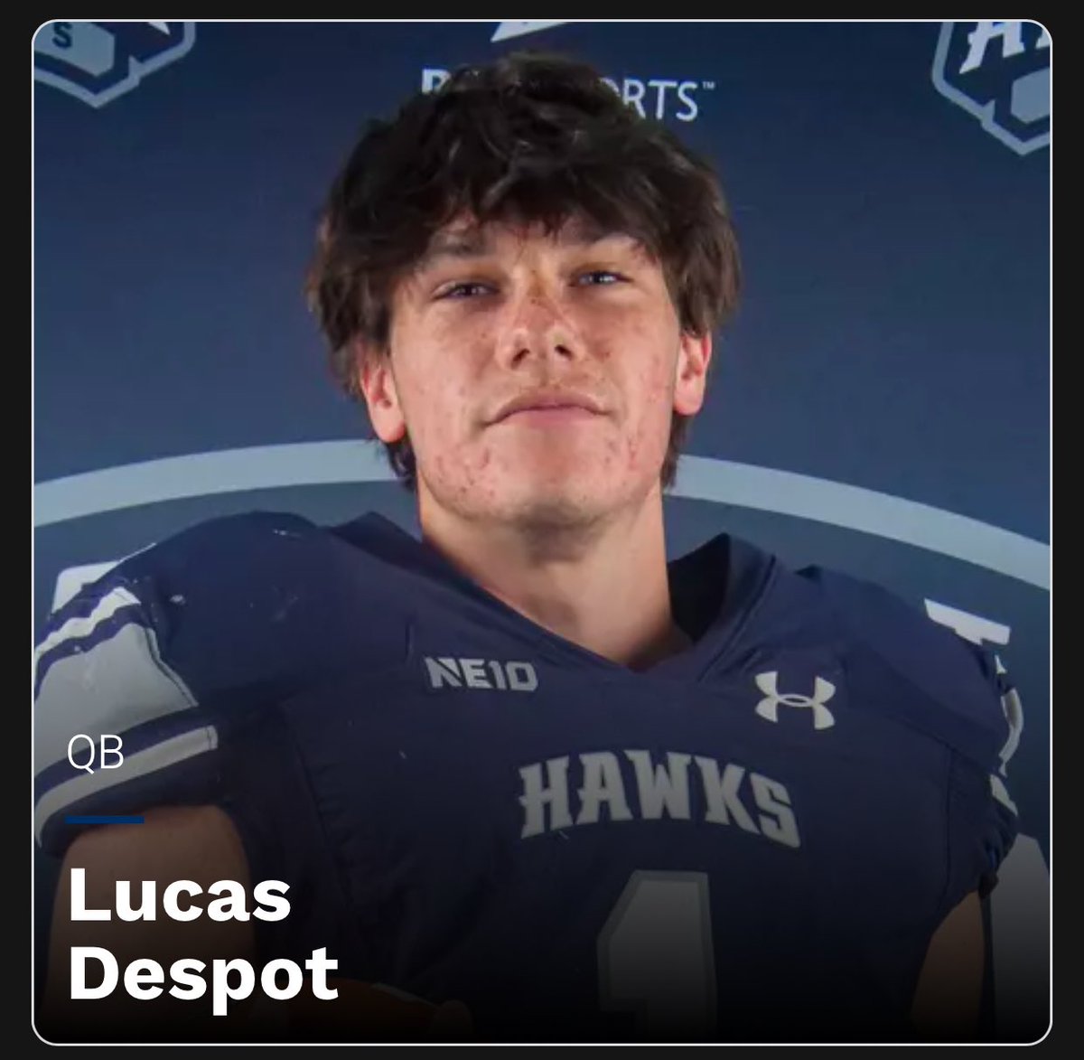 Lucas Despot (@LucasDespot) / Posts / X