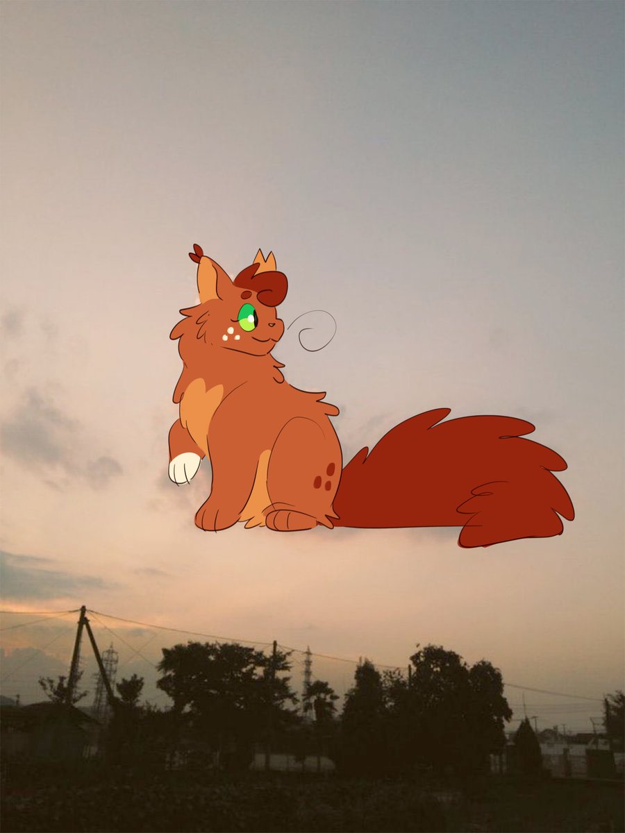 Squilf Cloud