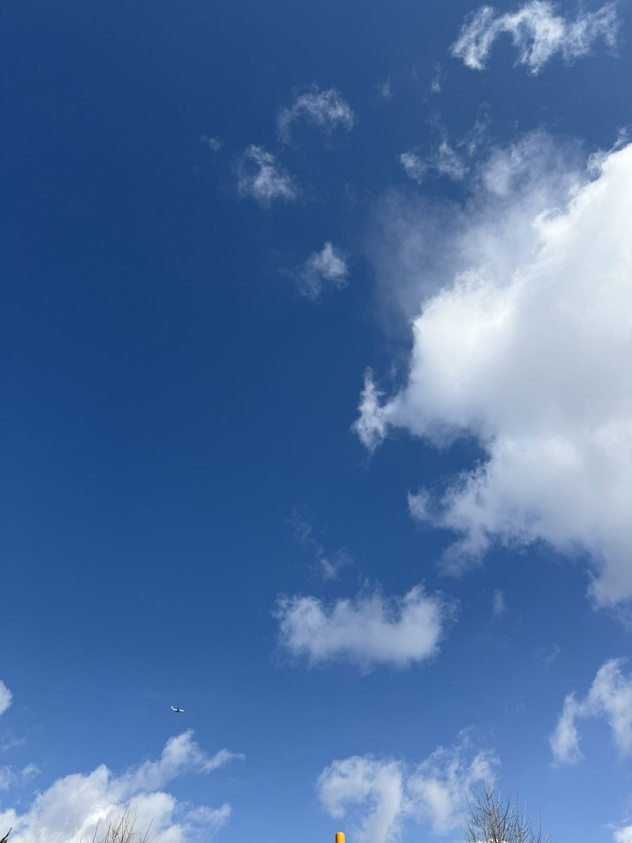 run34c's tweet photo. おはようございます
今日を迎えられて幸せです
#イマソラ https://t.co/Vpky88mGVX