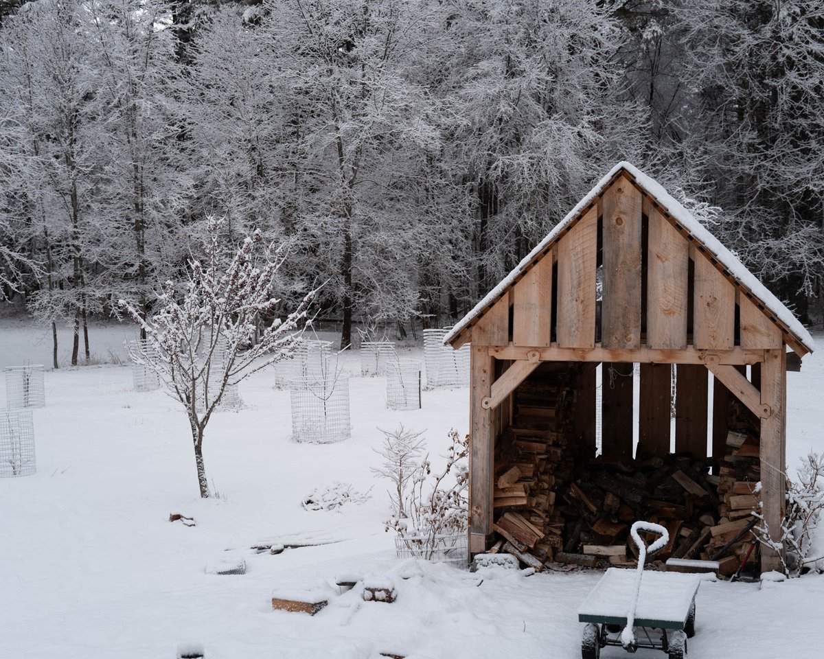 Simon Sarris tweet media