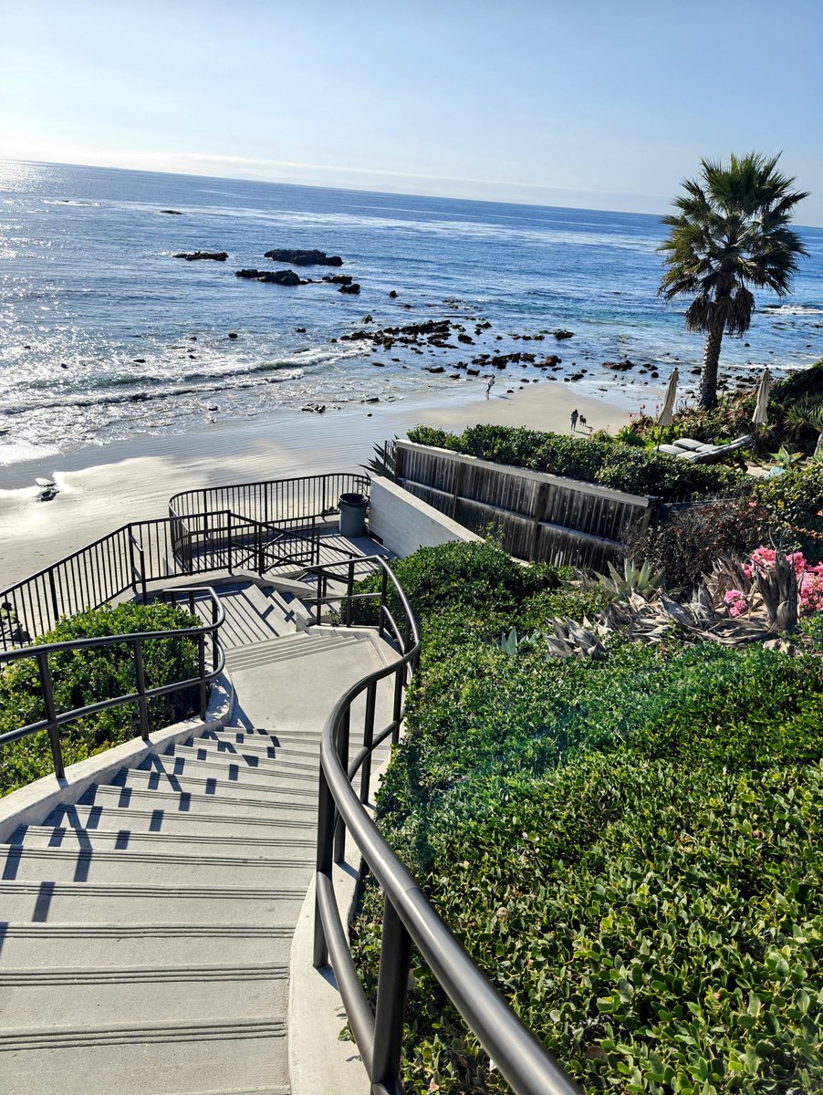 Jason ✨👾SaaStr.Ai✨ Lemkin tweet media