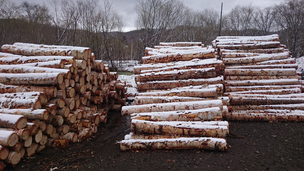 kikusui_sangyo's tweet image. ＼ イイネしてください ／

国産つまようじを製造しています！

この形の国産つまようじを製造している所は全国で２社しか残ってなく、地場産業としては最後の１社です！材料は北海道の白樺原木を使用、材料を作る所も最後の１社です。

つまりはフォローしてほしい（本音w）