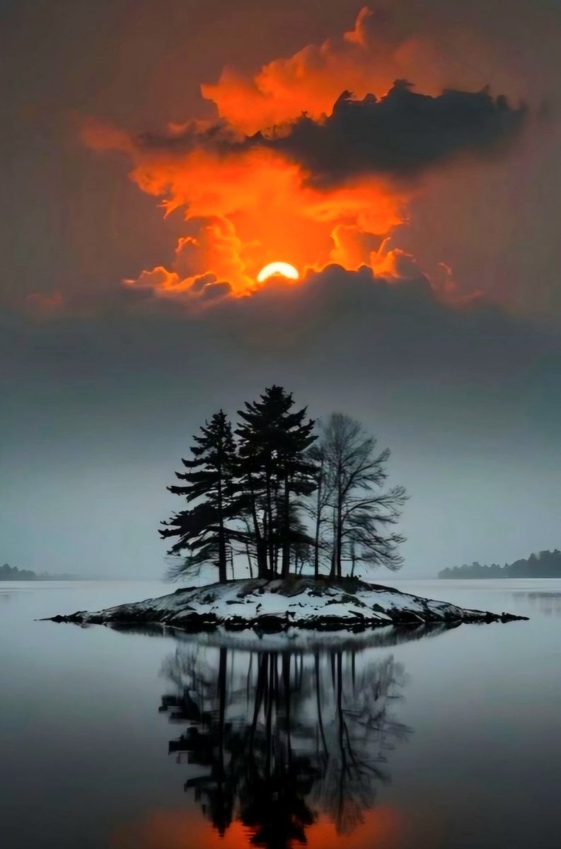 RotilaMirc52413's tweet image. 