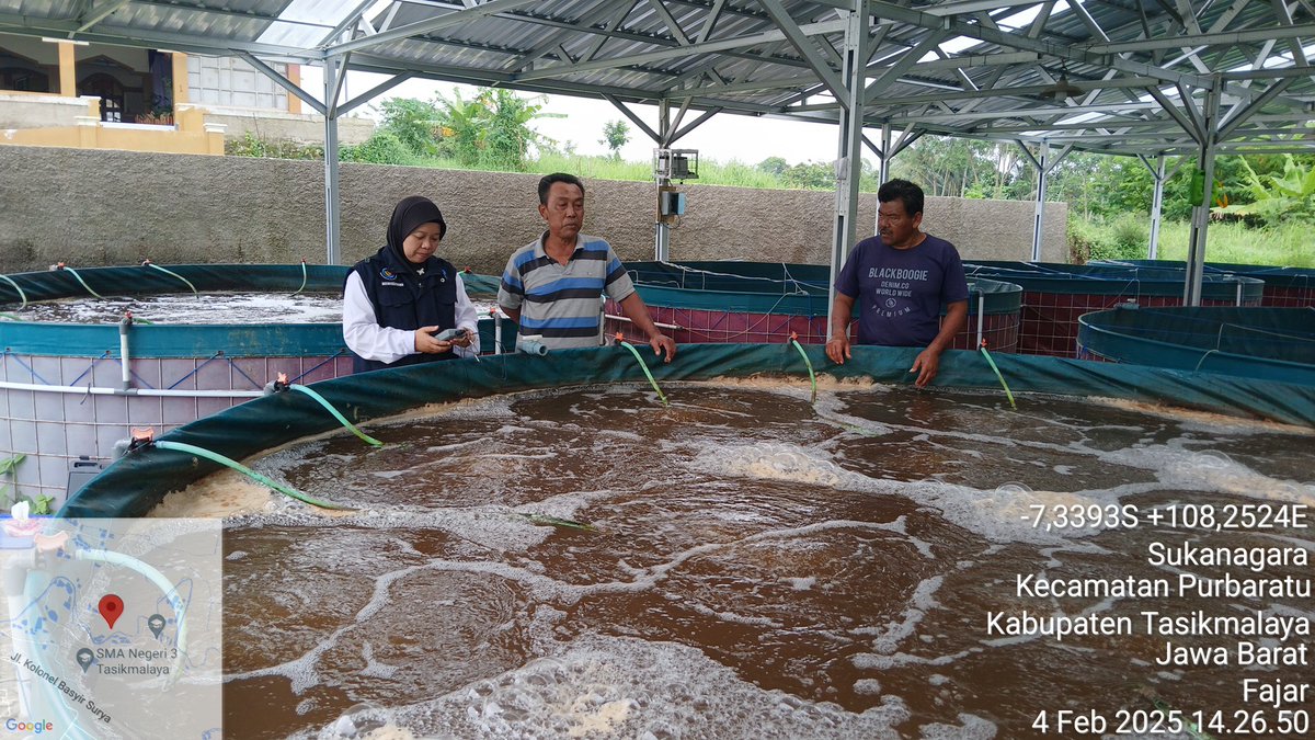 EvaRavela's tweet photo. Selasa (04/02/25), Eva Ravela NS, Luhkan Kota Tasikmalaya, di Pokdakan Fajar, Kel. Sukanagara, pembinaan dan monitoring kualitas air  bantuan bioflok 2024
#GiatLuhkanSatminkalBogor #KtTasik #Aktivitas  #luhlapor
@pusluh_bppsdm @brpbatpp_bogor  @bppsdm_kp @kkpgoid https://t.co/eyXgnqYkfU