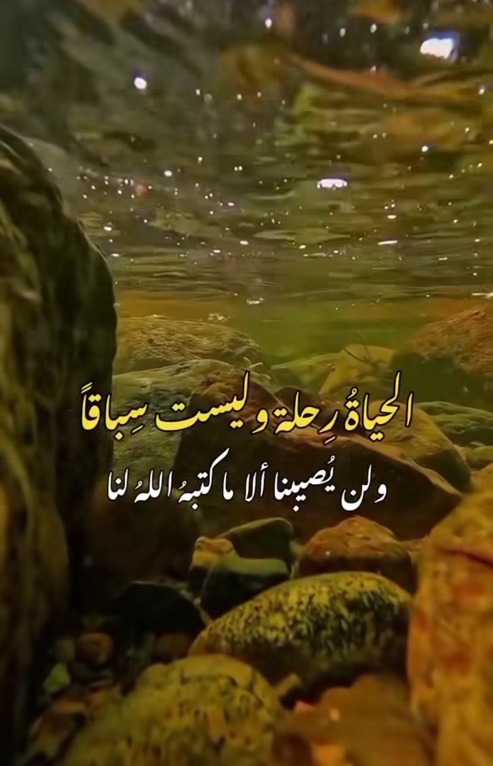 🇴🇲❤❥❀༽ألُحٍہيَہأہ حٍہلُۆه༼❀❥❤🇶🇦 tweet media