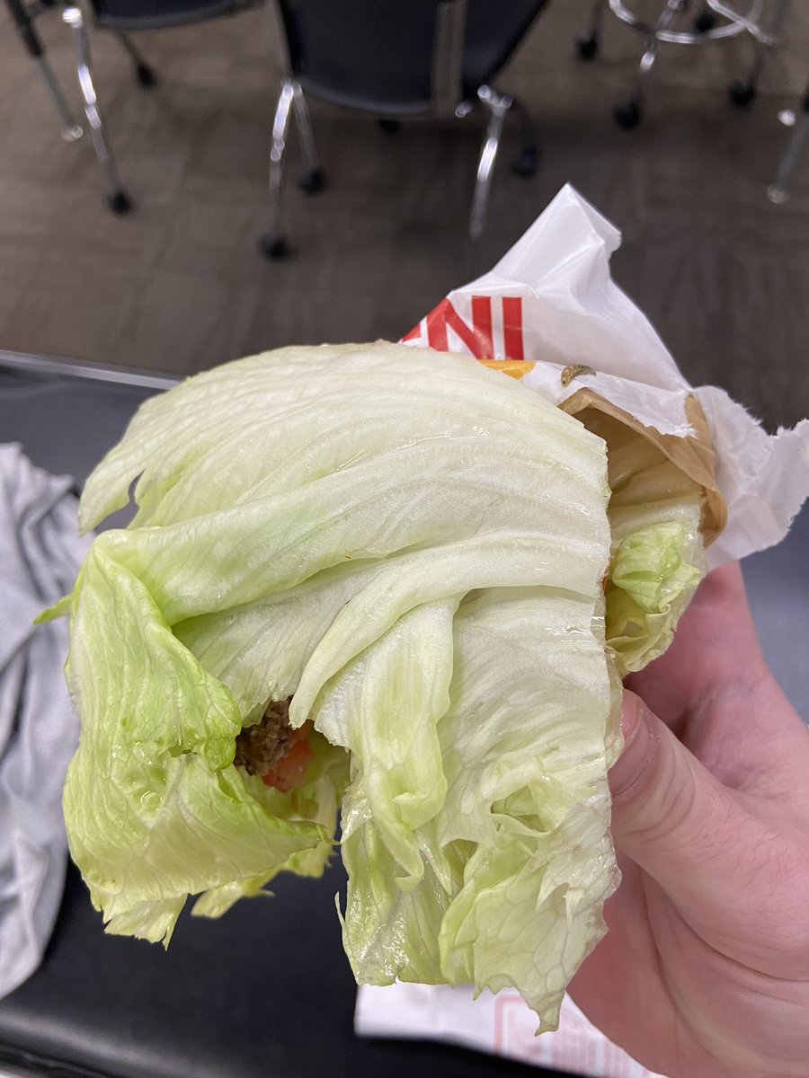 First off, the fries are mid. Now, y’all ain’t washing the lettuce? I know I asked for protein style, but a worm wasn’t what I had in mind. <a href="/innoutburger/">In-N-Out Burger®</a>