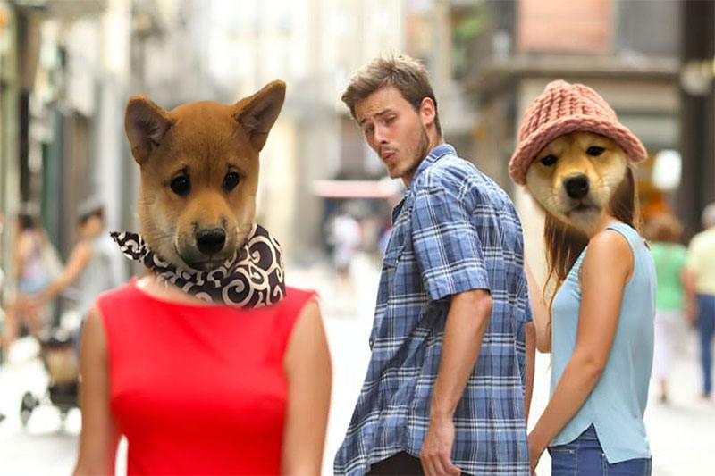 $SCARF 🧣🔛 🧠<a href="/dogwifscarfcto/">dogwifscarf</a>