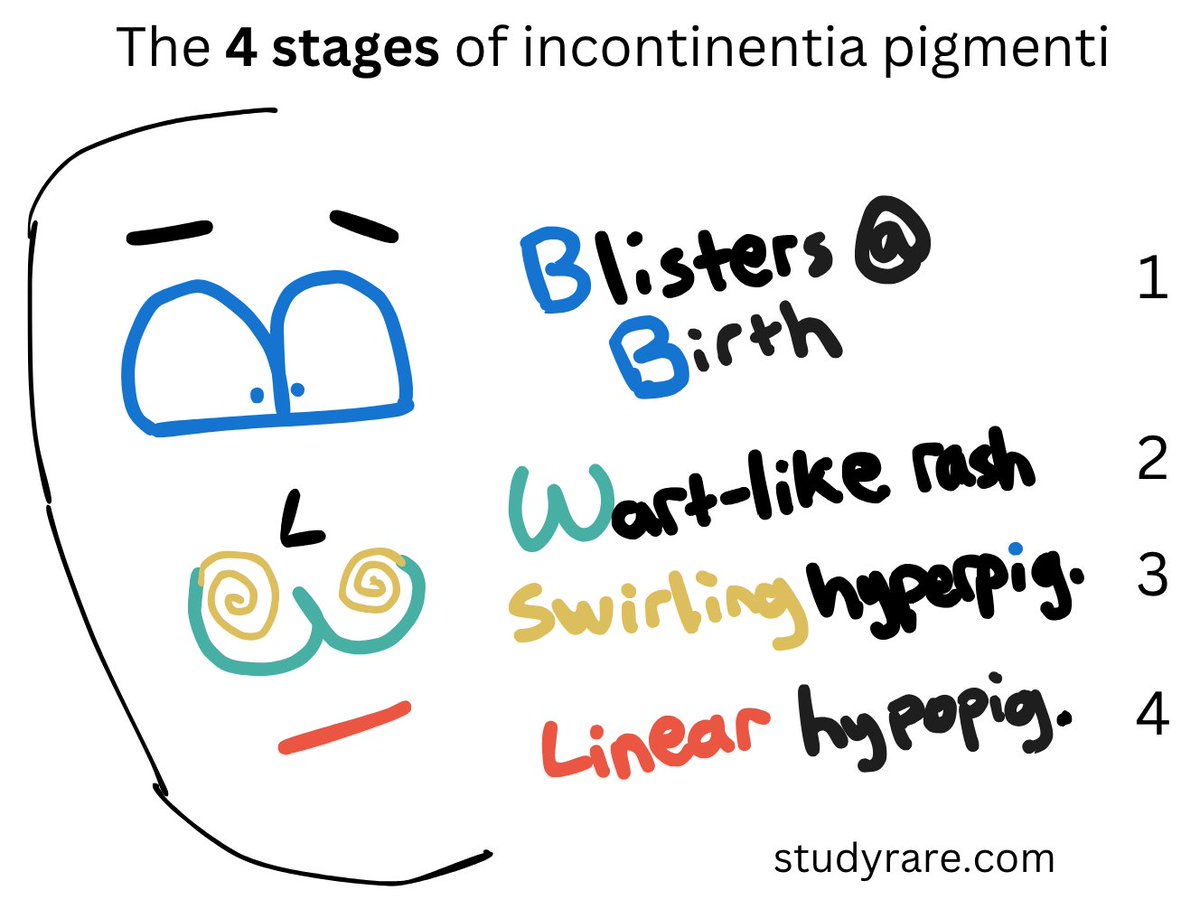 StudyRare 🧬 tweet media