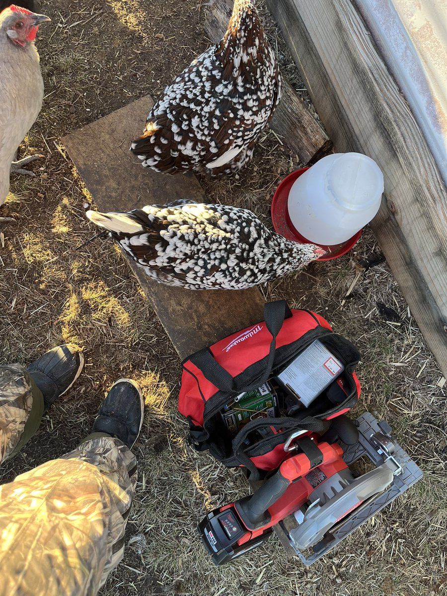 Content from cherokee87